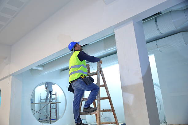 Best Mold Odor Removal Services  in Roosevelt Park, MI